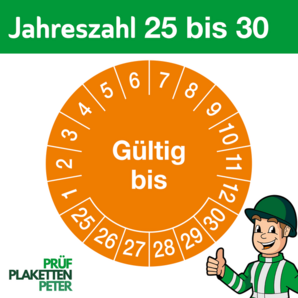 Mehrjahresprüfplakette GÜLTIG BIS